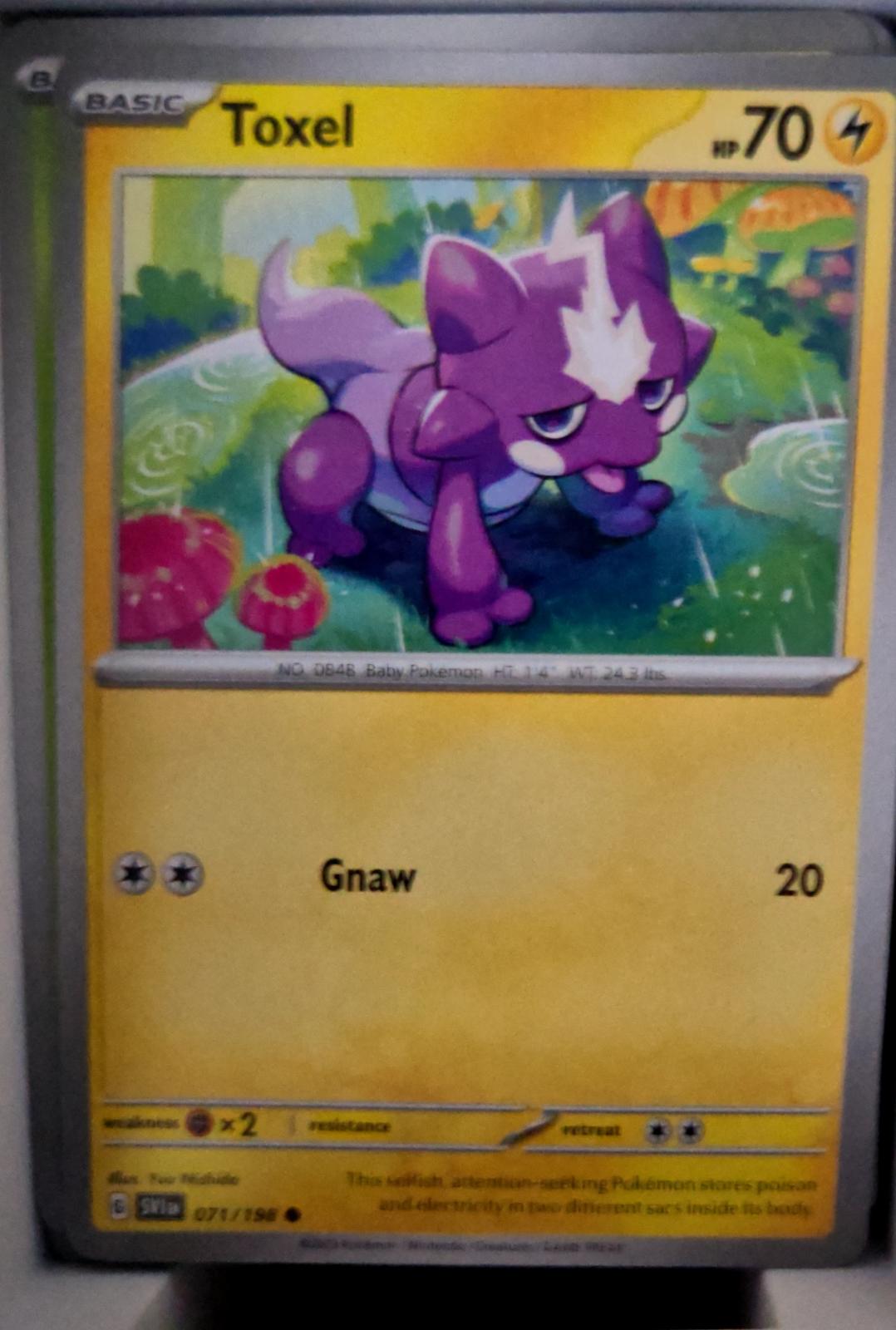 Toxel - 071/198 - - SCARLET & VIOLET - Pokemon - Common | AA48-124