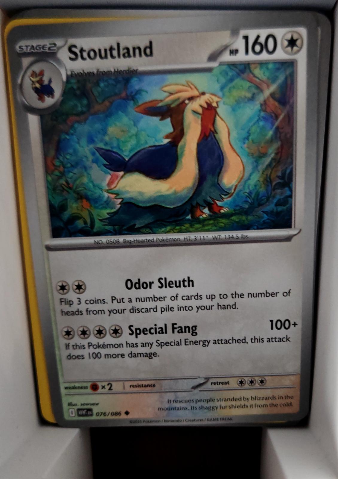 Stoutland - 076/086 - - WHITE FLARE - Pokemon - Uncommon | AA43-93