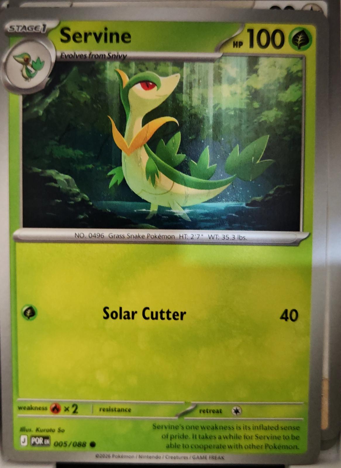 Servine - 005/088 - - PERFECT ORDER - Pokemon - Common | AA05-10