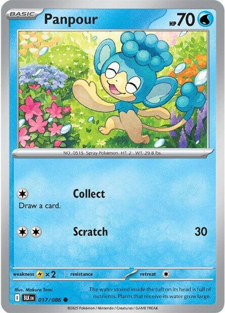 Panpour - 017/086 - - BLACK BOLT - Pokemon - Common | AA107-1