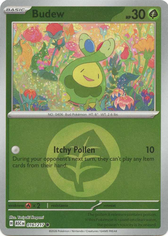 Budew (Energy Symbol Pattern) - 016/217 - Reverse Holo - ASCENDED HEROES - Pokemon - | AA19-87