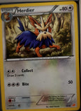 Herdier - 82/114 - - BLACK & WHITE - Pokemon - Uncommon | AA43-92
