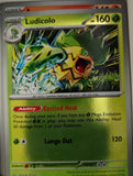 Ludicolo - 007/094 - Reverse Holo - PHANTASMAL FLAMES - Pokemon - | AA26-42
