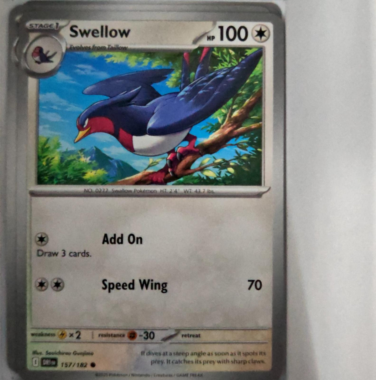 Swellow - 157/182 - - DESTINED RIVALS - Pokemon - Common | AA52-4