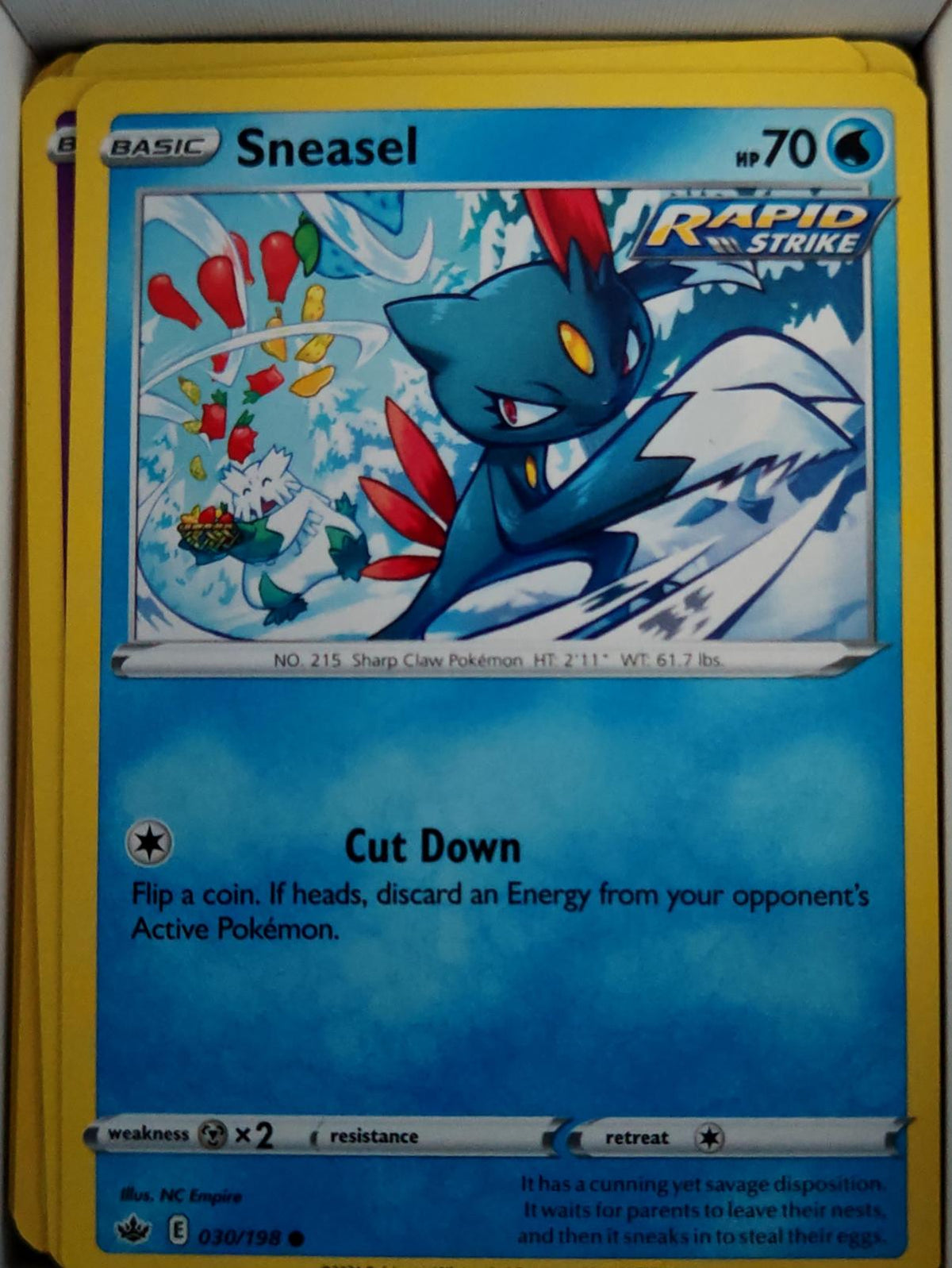 Sneasel - 030/198 - - CHILLING REIGN - Pokemon - Common | AA57-25