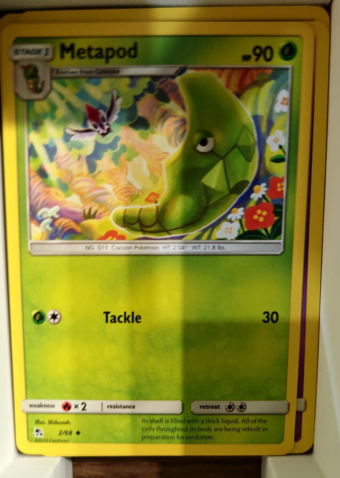 Metapod - 2/68 - - HIDDEN FATES - Pokemon - Uncommon | AA71-36