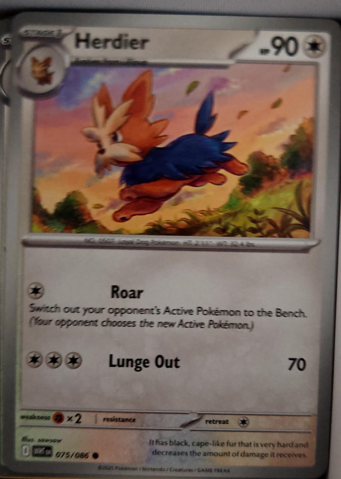 Herdier - 075/086 - - WHITE FLARE - Pokemon - Common | AA43-94