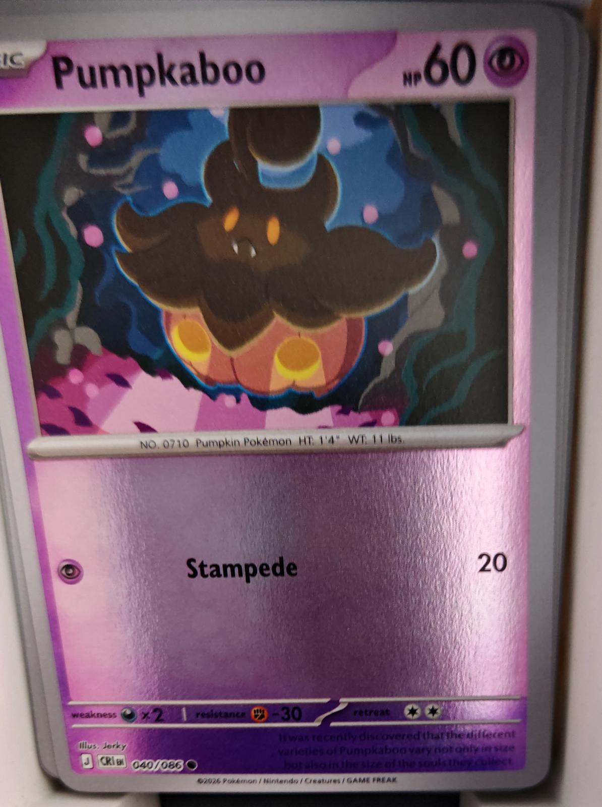 Pumpkaboo - 040/086 - Reverse Holo - CHAOS RISING - Pokemon - Common | AA31-63