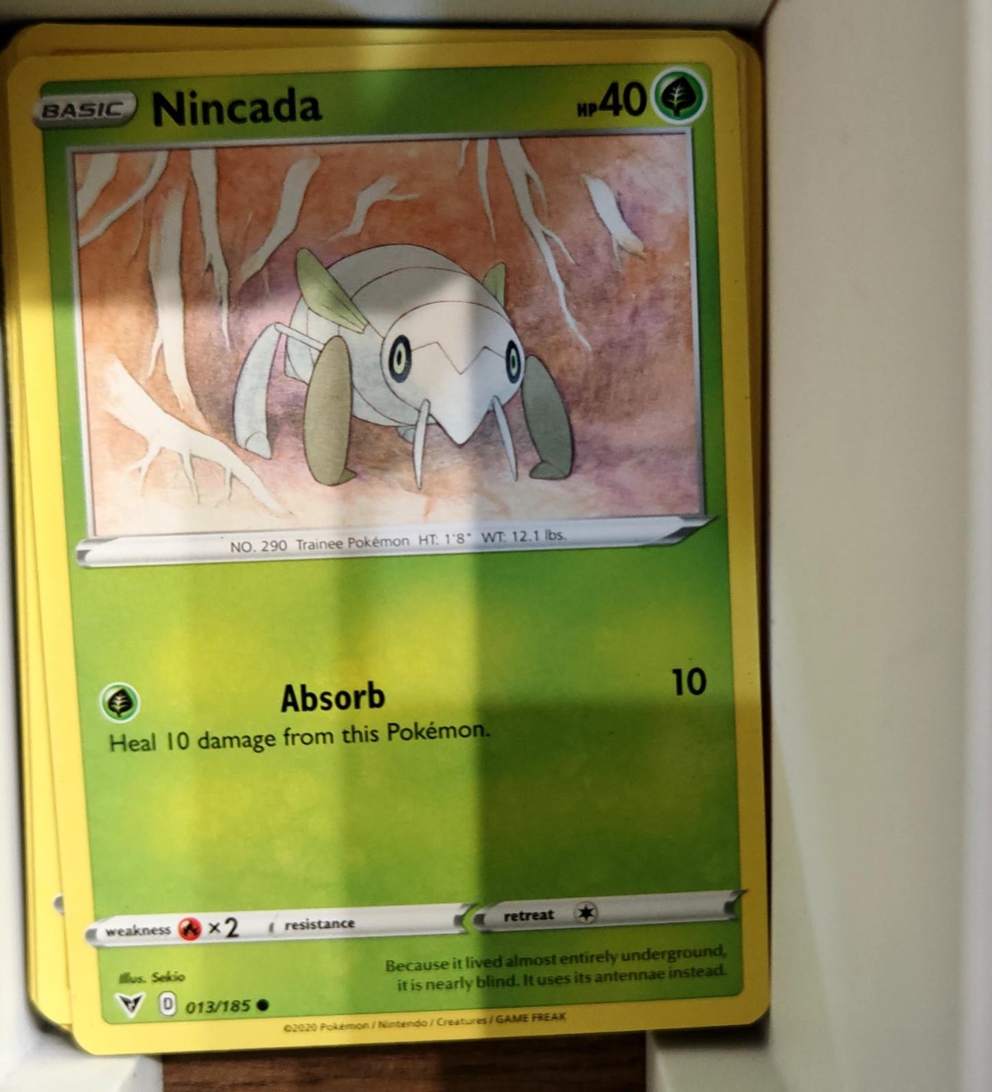 Nincada - 013/185 - - VIVID VOLTAGE - Pokemon - Common | AA67-28