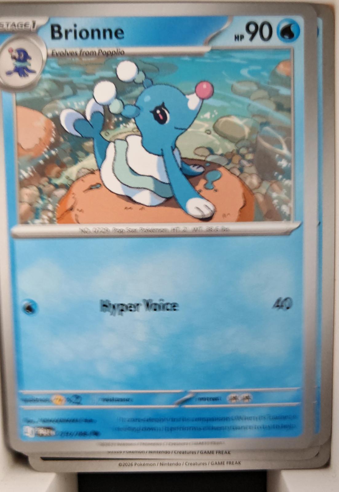 Brionne - 019/084 - - PITCH BLACK - Pokemon - Common | AA28-67