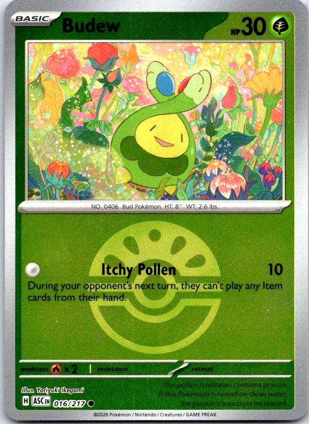 Budew (Friend Ball) - 016/217 - Reverse Holo - ASCENDED HEROES - Pokemon - | AC26-31