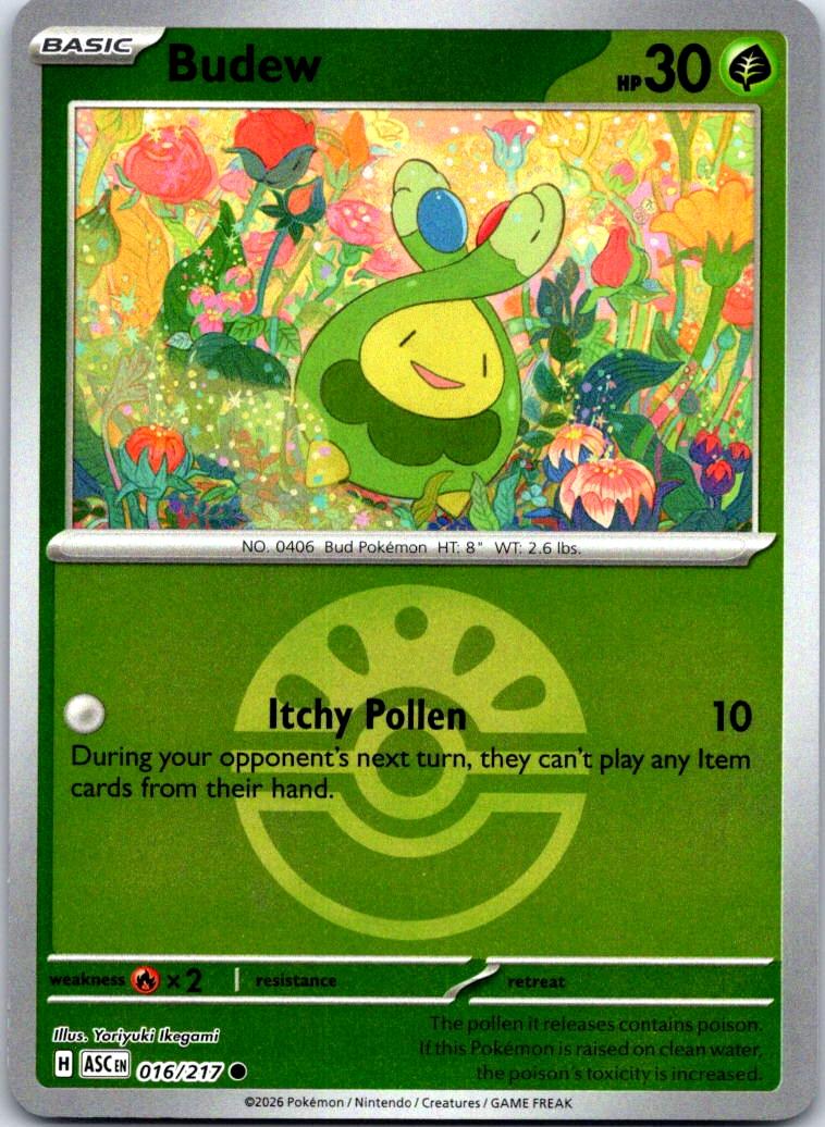 Budew (Friend Ball) - 016/217 - Reverse Holo - ASCENDED HEROES - Pokemon - | AB02-8