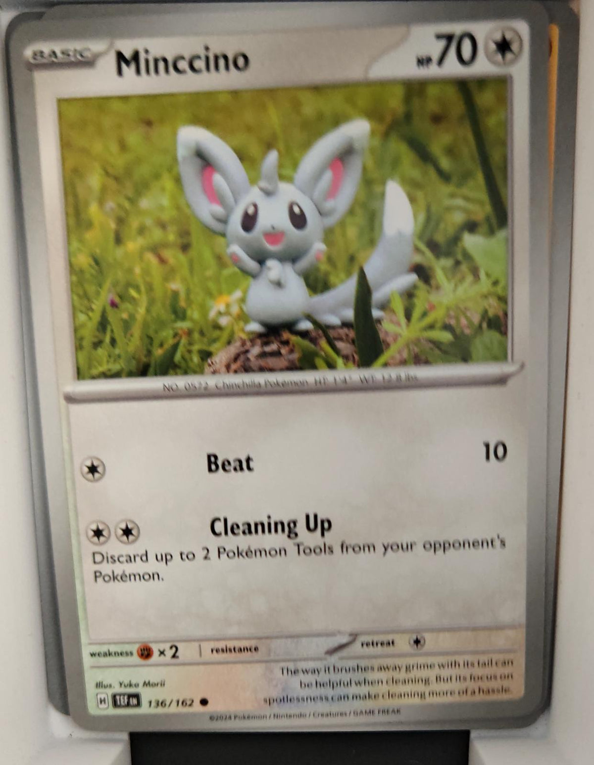 Minccino - 136/162 - - TEMPORAL FORCES - Pokemon - Common | AA36-7