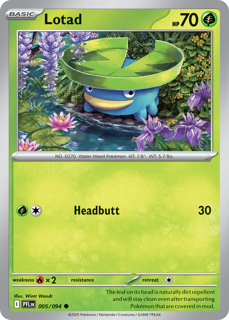 Lotad - 005/094 - - PHANTASMAL FLAMES - Pokemon - Common | AA06-78