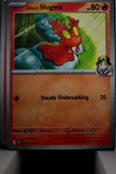 Ethan's Slugma - 023/217 - - ASCENDED HEROES - Pokemon - Common | AA51-47