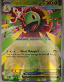 Mega Meganium ex - 034 - Holo - ME: MEGA EVOLUTION PROMO - Pokemon - | AA34-14