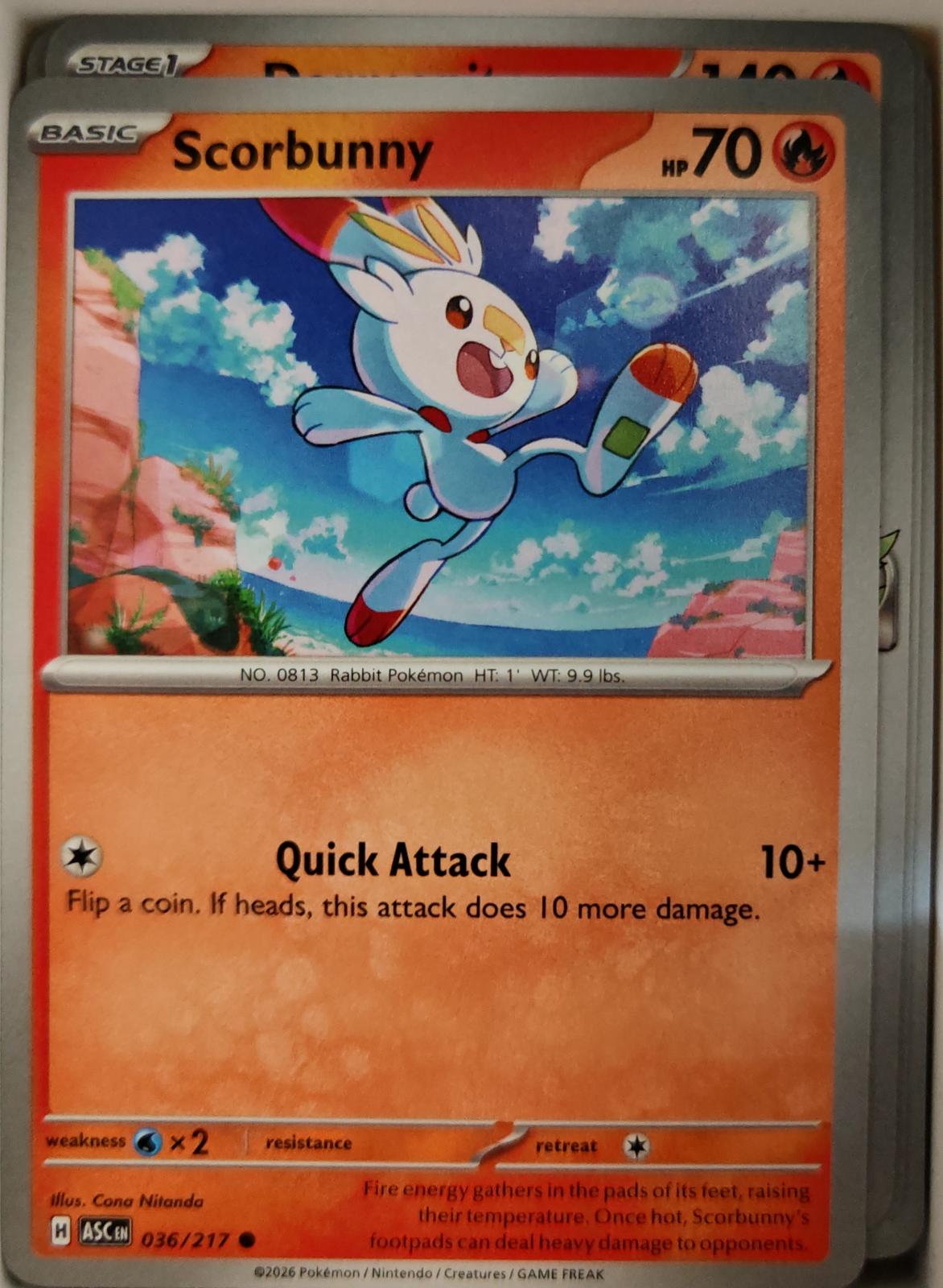Scorbunny - 036/217 - - ASCENDED HEROES - Pokemon - Common | AA10-54