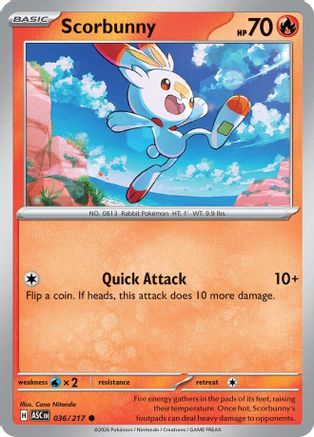 Scorbunny - 036/217 - - ASCENDED HEROES - Pokemon - Common | AA10-54