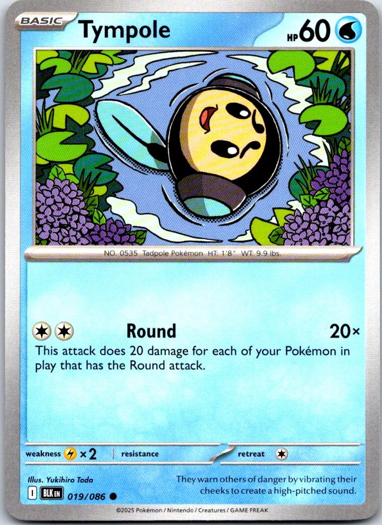 Tympole - 019/086 - - BLACK BOLT - Pokemon - Common | AA109-13