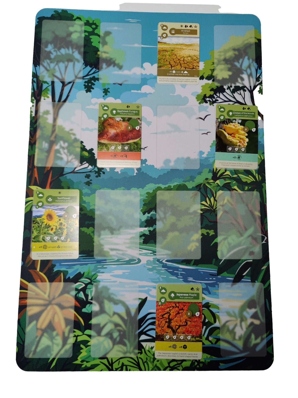 Playmat - Earth Board Game Tabletop Gaming Mat Board Game Tabletop Gaming Gifts Accessories, RPG D&D Dice